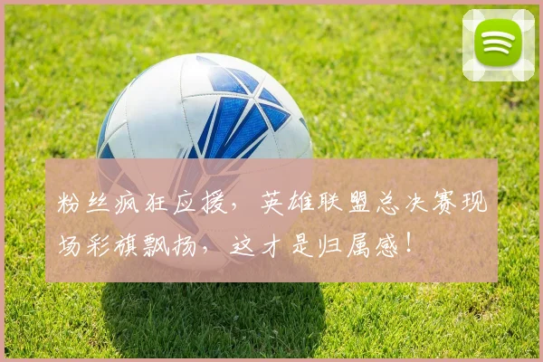 粉丝疯狂应援，英雄联盟总决赛现场彩旗飘扬，这才是归属感！