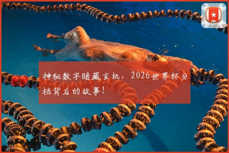神秘数字暗藏玄机，2026世界杯分档背后的故事！