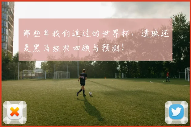 那些年我们追过的世界杯，遗珠还是黑马经典回顾与预测！